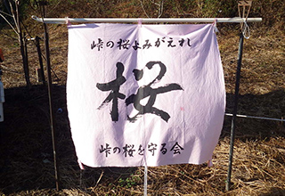 取り組みイメージ画像
